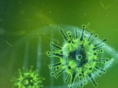 Coronavirus und Videotelefonie: Informationen für