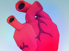 Schwerhörigkeit und Herzerkrankungen: Wie ist