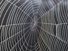 Hörgeräte Mikrofone: Spinnenseide könnte den