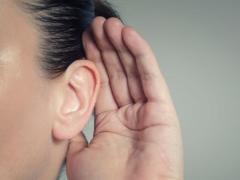 Gehör durch Stammzellen heilen –