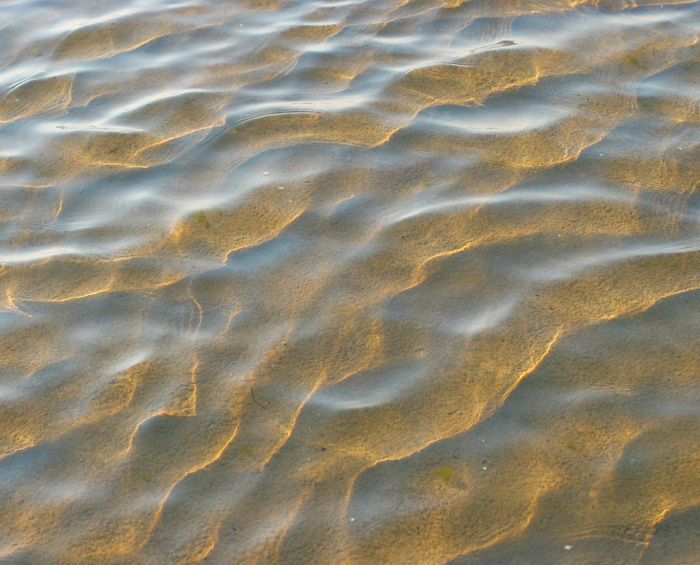 Meeresrauschen Tinnitus