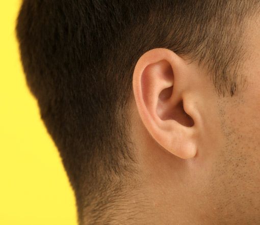 Ohr Seitenansicht Mann