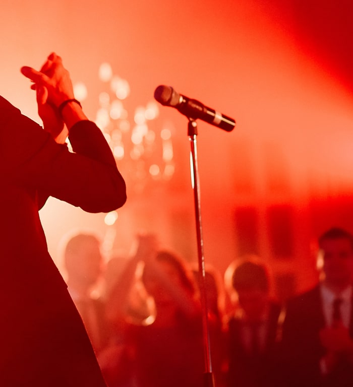 Publikum beim Konzert