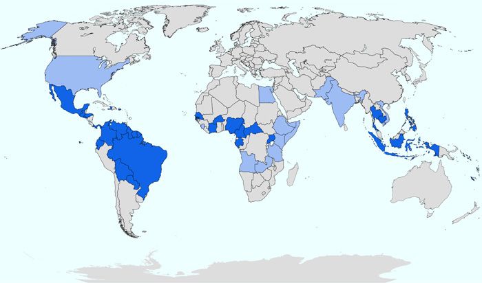 Zika Virus Ausbreitung