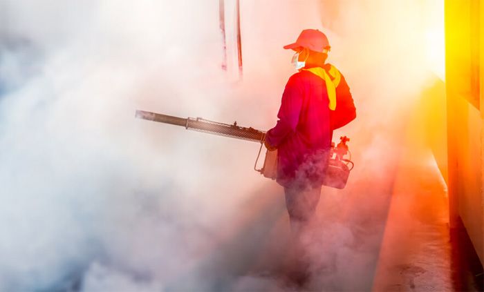 Zika virus Eindämmung